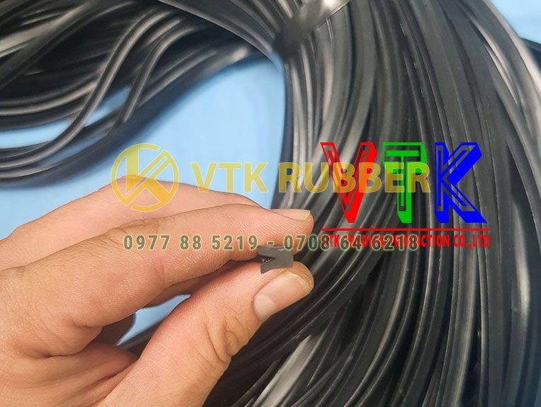 111 ron gioang cao su tu dien o tinh phu yen 03 min