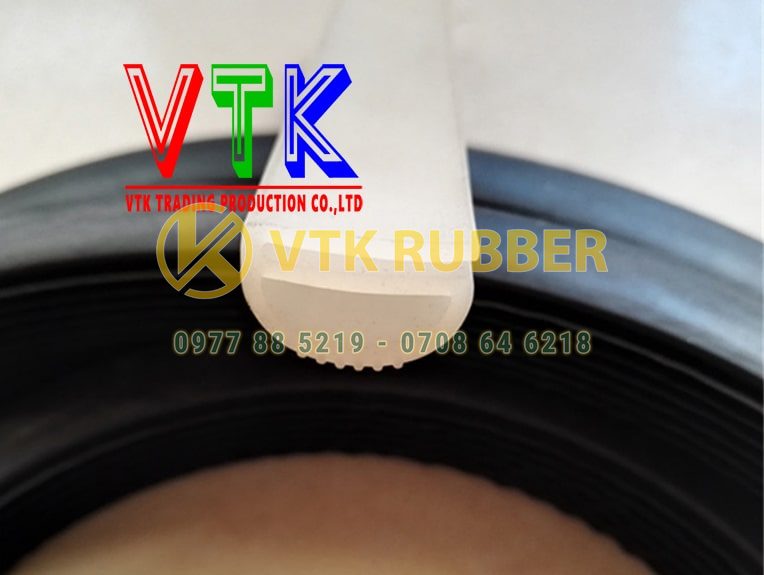 218 gioang cao su chu u o tinh ca mau 04 min