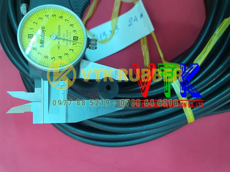 107 ron cao su chu h o thanh pho da nang 04 min