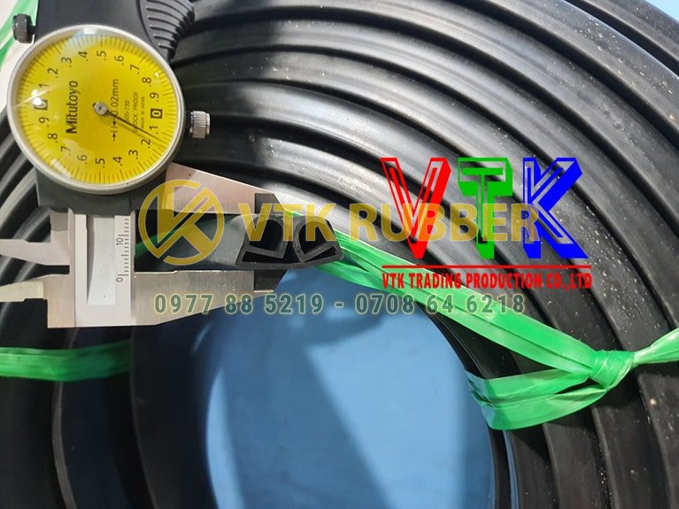 107 ron cao su chu h o thanh pho da nang 06 min