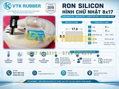 Ron silicon hình chữ nhật 8x17 tại Hồ Chí Minh